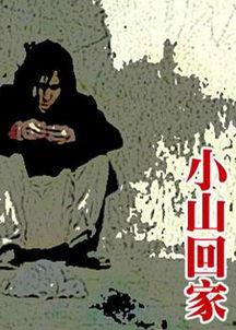 小山回家在线观看,一场跨越时空的温馨归途  第2张