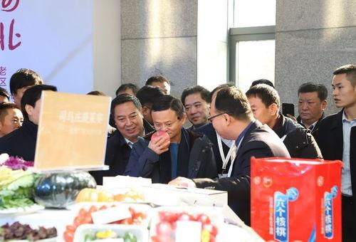 石家庄大学爆料视频曝光,真相令人震惊  第3张