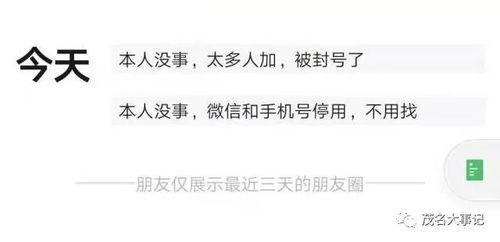 林尘最新爆料,揭秘娱乐圈惊人内幕 第3张 林尘最新爆料,揭秘娱乐圈惊人内幕 第3张