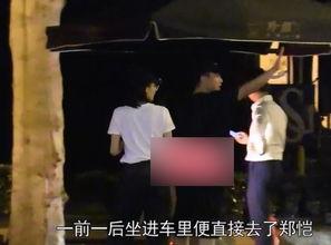 郑恺爆料完整版视频,娱乐圈幕后真相大曝光