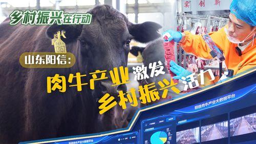 阳信牛肉爆料视频大全,视频大全带你领略地道风味  第1张