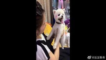 马蓉最新爆料爆笑视频,揭秘娱乐圈夫妻大战幕后真相  第2张