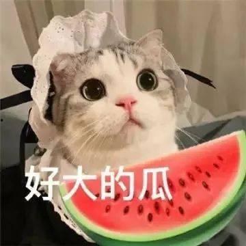 网红吃瓜中转站,揭秘娱乐圈幕后风云 第2张 网红吃瓜中转站,揭秘娱乐圈幕后风云 第2张