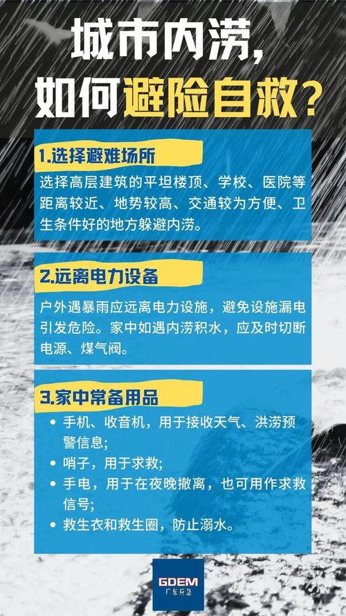 湛江今日关注爆料,揭秘湛江最新热点事件！  第2张