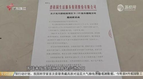 湛江今日关注爆料,揭秘湛江最新热点事件！  第3张