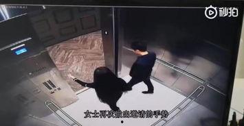 官方主动爆料实锤视频大全,揭秘真相背后的震撼瞬间 第3张 官方主动爆料实锤视频大全,揭秘真相背后的震撼瞬间 第3张