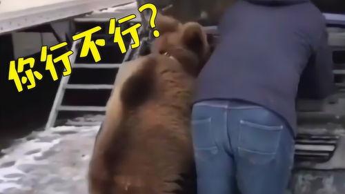 爆料短视频配音,揭秘爆款短视频配音制作全过程 第1张 爆料短视频配音,揭秘爆款短视频配音制作全过程 第1张