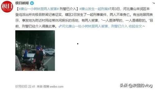 唐山小六爆料事件视频,真相与争议的交织 第2张 唐山小六爆料事件视频,真相与争议的交织 第2张