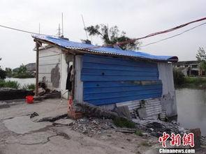 成都养猪场爆料案件最新,揭开养殖行业黑幕背后的惊人真相