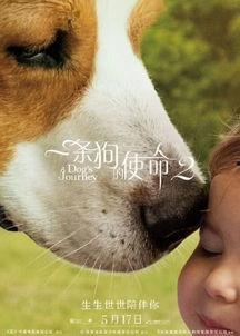 一条狗的使命2高清在线观看,狗狗使命续篇高清在线观影指南