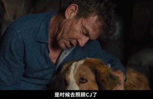 一条狗的使命2高清在线观看,狗狗使命续篇高清在线观影指南  第2张