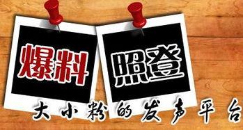 图片新闻爆料怎么做,深度解析