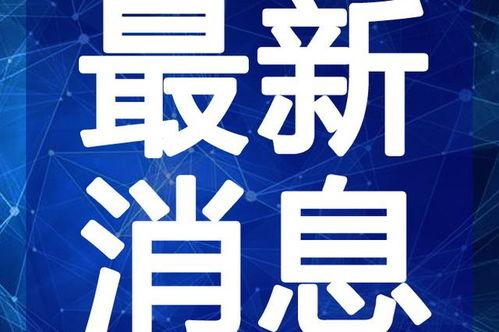 打假师姐爆料视频大全最新,视频大全深度解析