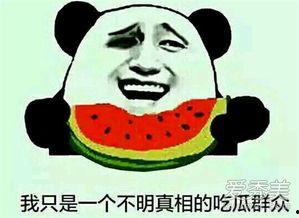 开心吃瓜免费观看,开心吃瓜盛宴！