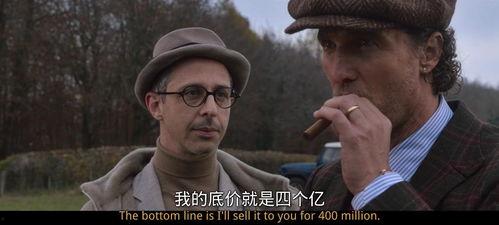 电影里奇在线观看,穿越时空的奇幻之旅