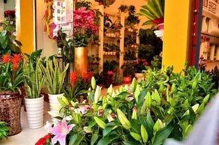 最新吃瓜爆料花店事件,揭秘最新吃瓜爆料背后的真相 第2张 最新吃瓜爆料花店事件,揭秘最新吃瓜爆料背后的真相 第2张