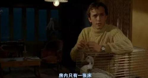 偷窥无罪 2在线观看,隐私界限的挑战与伦理探讨 第3张 偷窥无罪 2在线观看,隐私界限的挑战与伦理探讨 第3张
