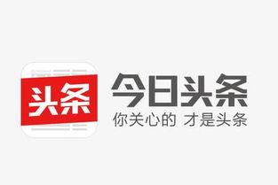 深圳今日头条爆料店电话,揭秘城市热点，一键直通真相！