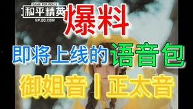 和平体验服爆料视频,揭秘游戏更新亮点与玩法变革