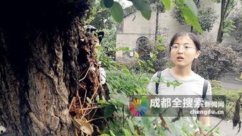 名株在线观看,实时掌握股市动态,轻松投资入门指南 第2张 名株在线观看,实时掌握股市动态,轻松投资入门指南 第2张