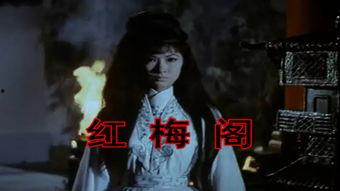 红梅阁在线观看,穿越时空的古典园林传奇 第3张 红梅阁在线观看,穿越时空的古典园林传奇 第3张