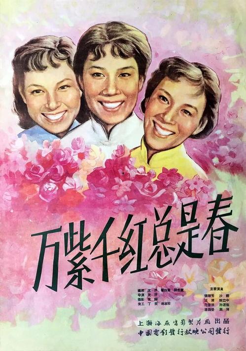 台湾万紫千红在线观看,台湾风情在线盛宴