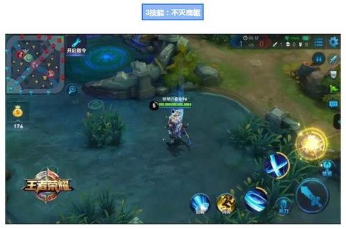 王者大爆料修哥是谁啊视频,修哥身份大起底！