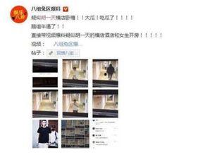 爆料社会新闻网红视频是真的吗,社会新闻爆料真相大起底  第2张 爆料社会新闻网红视频是真的吗,社会新闻爆料真相大起底  第2张