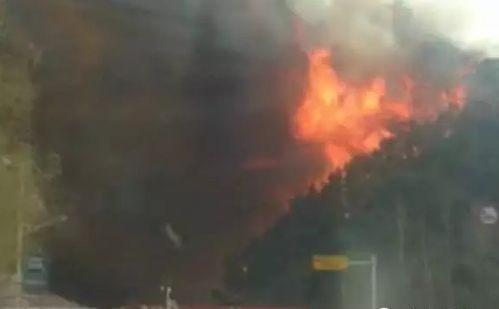 潍坊山火爆料视频,潍坊山火爆料事故惊心动魄瞬间