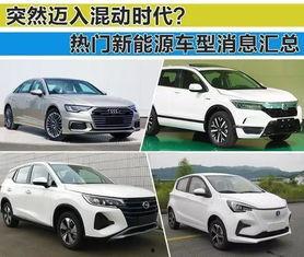 最新爆料车型大全  第1张