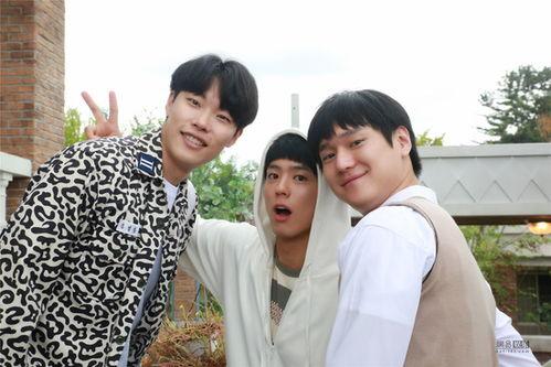 请回答1988在线观看韩剧网,重温青春岁月，共度温馨时光  第2张