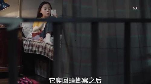 四大姐姐爆料视频,视频背后惊人内幕大曝光！