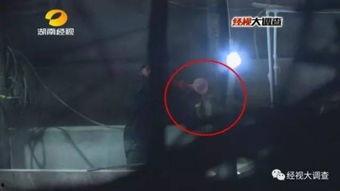 给猪灌泥浆爆料视频教程,传统养殖新方法揭秘  第3张