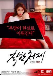 南韩卧底爆料视频大全,视频大全背后的惊人真相