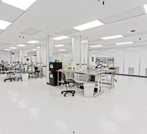 合肥装修厂爆料视频最新,揭秘装修行业潜规则与真实成本