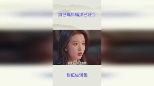 杨洋狗仔爆料视频大全集,揭秘明星幕后生活 第2张 杨洋狗仔爆料视频大全集,揭秘明星幕后生活 第2张