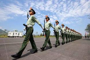 娱乐吃瓜酱水龙头方队